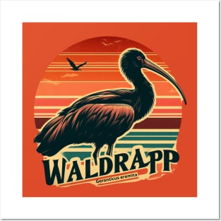 waldrapp or northern bald ibis endangered bird Posters and Art